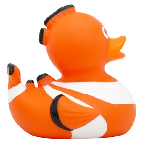 Nemo - Image 3